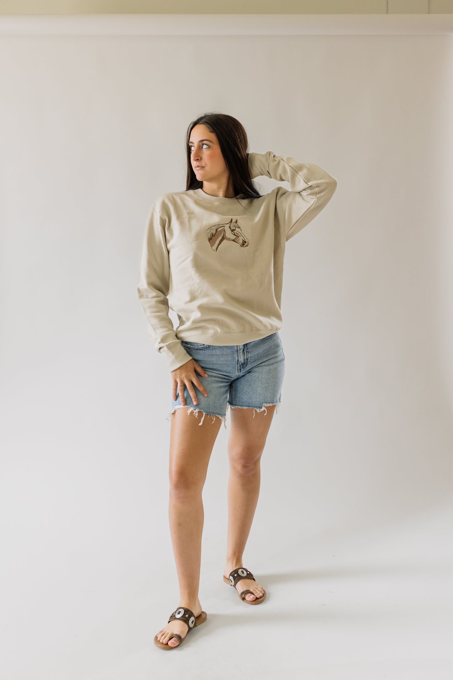 Embroidered Horse Crewneck