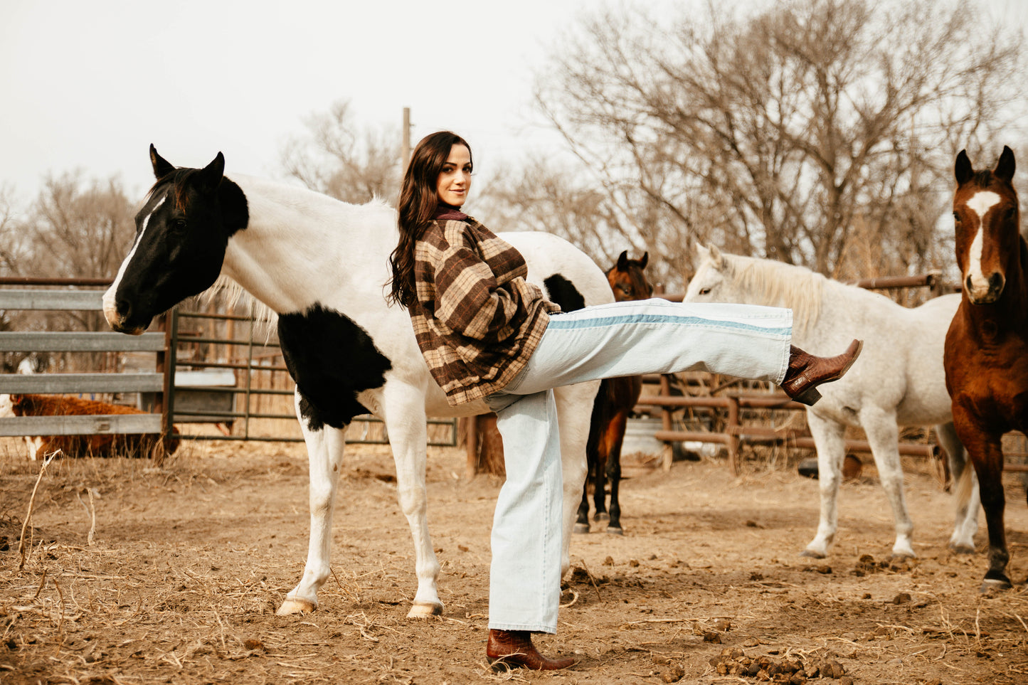 Wide Leg Stripe Jean